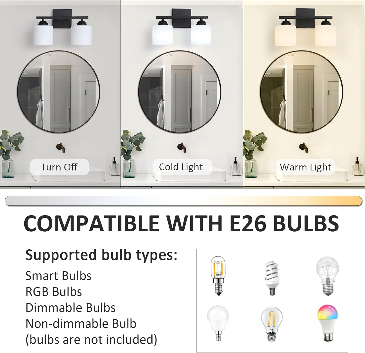 Matte Black 2-Light Bathroom Vanity Light, Glass Shade Wall Sconce